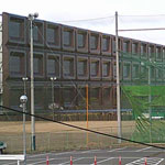 �t�@�C�e�B���O�E�R���T���^���g������